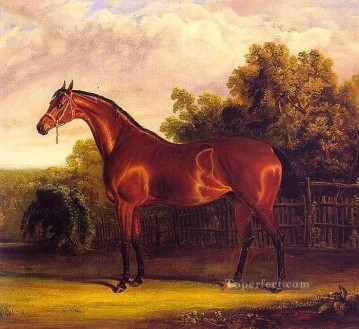 Horse Painting - amc0018D1 animal horse